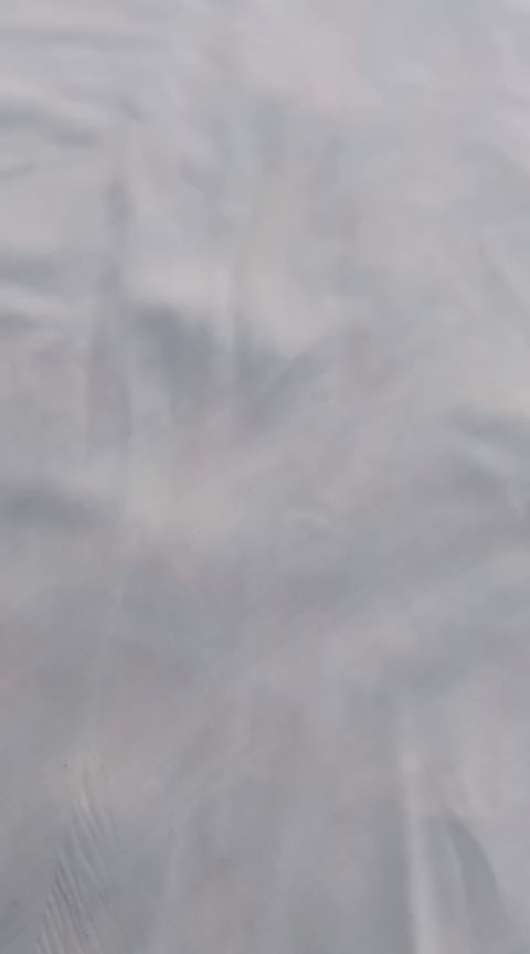 Citizen Lexoma Super Beat IC Vintage Watch