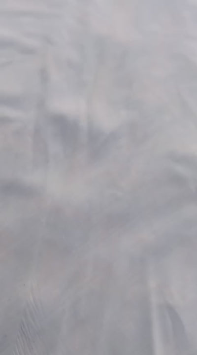 Citizen Lexoma Super Beat IC Vintage Watch